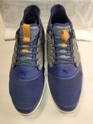 Puma Golf Ignite PWRADAPT Blue And Grey Golf Shoes Size 9.5 (1 Broken Cleat)