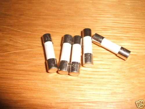 HOLLYFUSE 5 CERAMIC SLOW BLOW FUSES 5A 5AMP T5AH 20 x 5mm 250V