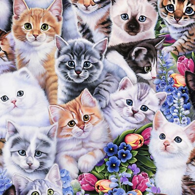 KITTENS & FLOWERS - DAVID TEXTILES - CAT BTY - QUILTING FABRIC BORDER BACKING