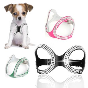 chameleon screen cage