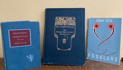 Lot of 3 Vintage Norwegian books - Beg Norwegian, Fra Ungdomsaar, Fram Stig