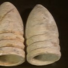 5 Nice Civil War Bullets Wayne County Tennessee — photo 6