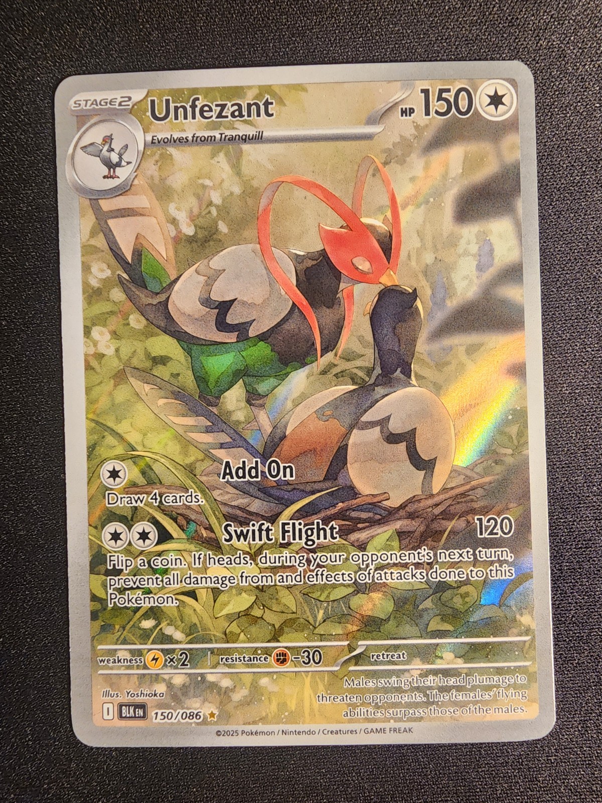 Pokemon TCG SV Black Bolt Unfezant 150/086 Illustration Rare Near Mint