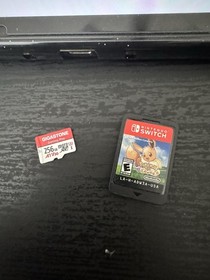 Nintendo Switch With Accessories and (256gb) micro sd card and 1 game included. 