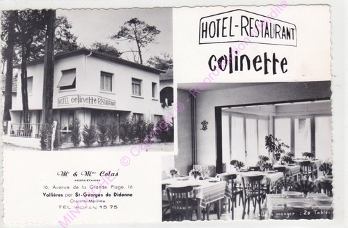 Restaurant du Midi, Domfront-en-Champagne - Restaurant menu and reviews