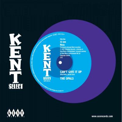 The Opals - Can't Give It Up - Kent - UPTEMPO Northern Soul 45 - NEW - HEAR