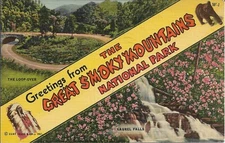 Greetings From The Great Smoky Mountains Postcard Curt Teich & Co Linen 1940s