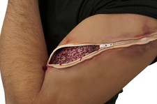 Zip It Large Costume Prosthetic