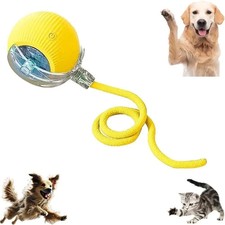 Interactive Cat Ball Speedy Tail Kitten Toy Rolling Ball With Rope for Pets