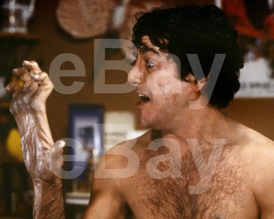 Ein Amerikanischer Werwolf In London (1981) David Naughton 10x8 Foto