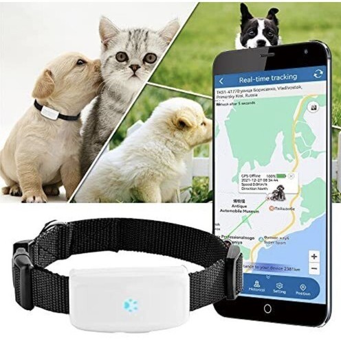 GPS-Tracker für Katzen Hunde Halsband Wasserdicht ohne ABO mit kostenloser App - Bild 1 von 14