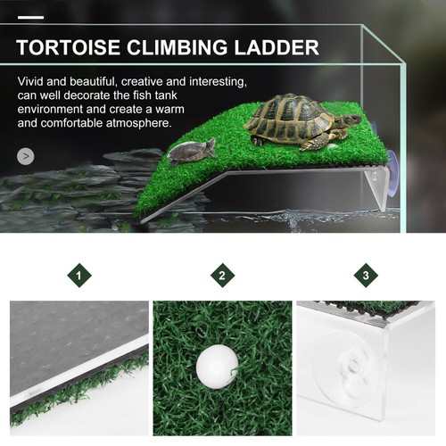 Accessoires lézard tortue habitat tortue transat plate-forme officiel flottante