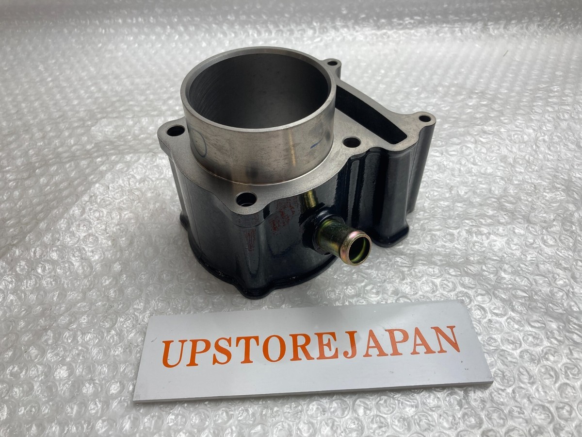 2012 - 2024 GENUINE KAWASAKI BRUTE FORCE 300 ENGINE CYLINDER