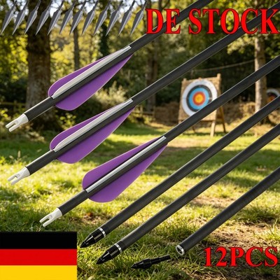 12 Stück SP350 Carbon Pfeile mit Broadheads Jagd Schießen Zielscheibe Bogensport