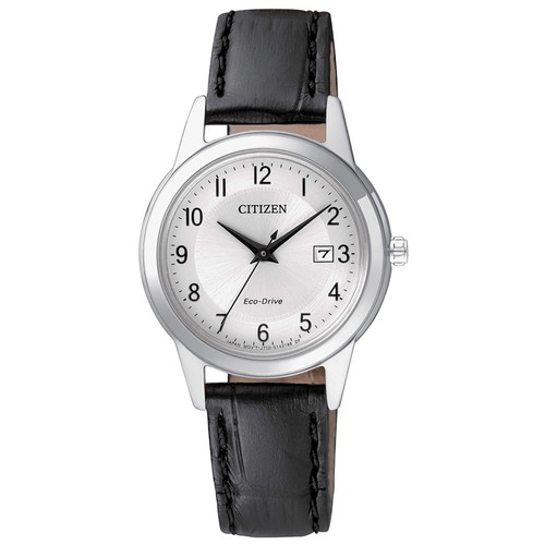 Citizen Core Eco-Drive fe1081-08a Watch