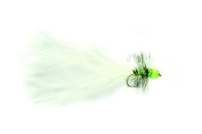 Hot Taddy Cat Fliege Forellensee Regenbogenforelle Lachsforelle Fulling Mill