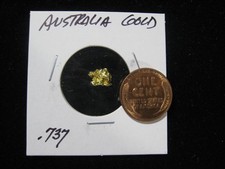 AUSTRALIA GOLD NUGGET .737 GRAM 6752.03 per troy oz
