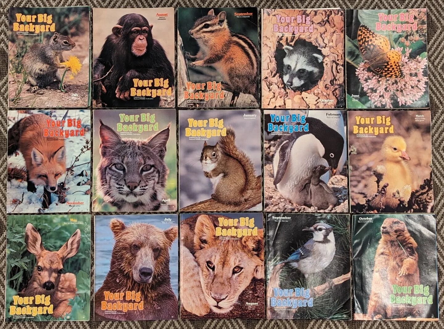 Vintage Lot Of 15 Your Big Backyard Magazines National Wildlife Fed