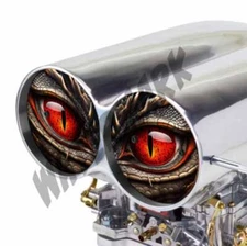Dinosaur Ember EYES VINYL DECAL SHOTGUN AIR INTAKE HOOD SCOOP BUG CATCHER 2PK