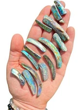 Raw Abalone Shell Rim, Natural Abalone Shell Piece from Mexico