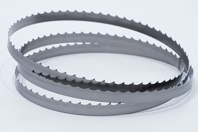 Wood-Mizer 144" Silvertip Sawmill Blades - Single Blade for sale online