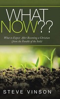 Steve Vinson | What Now?? | Buch | Englisch (2020) | Gebunden | Westbow Press