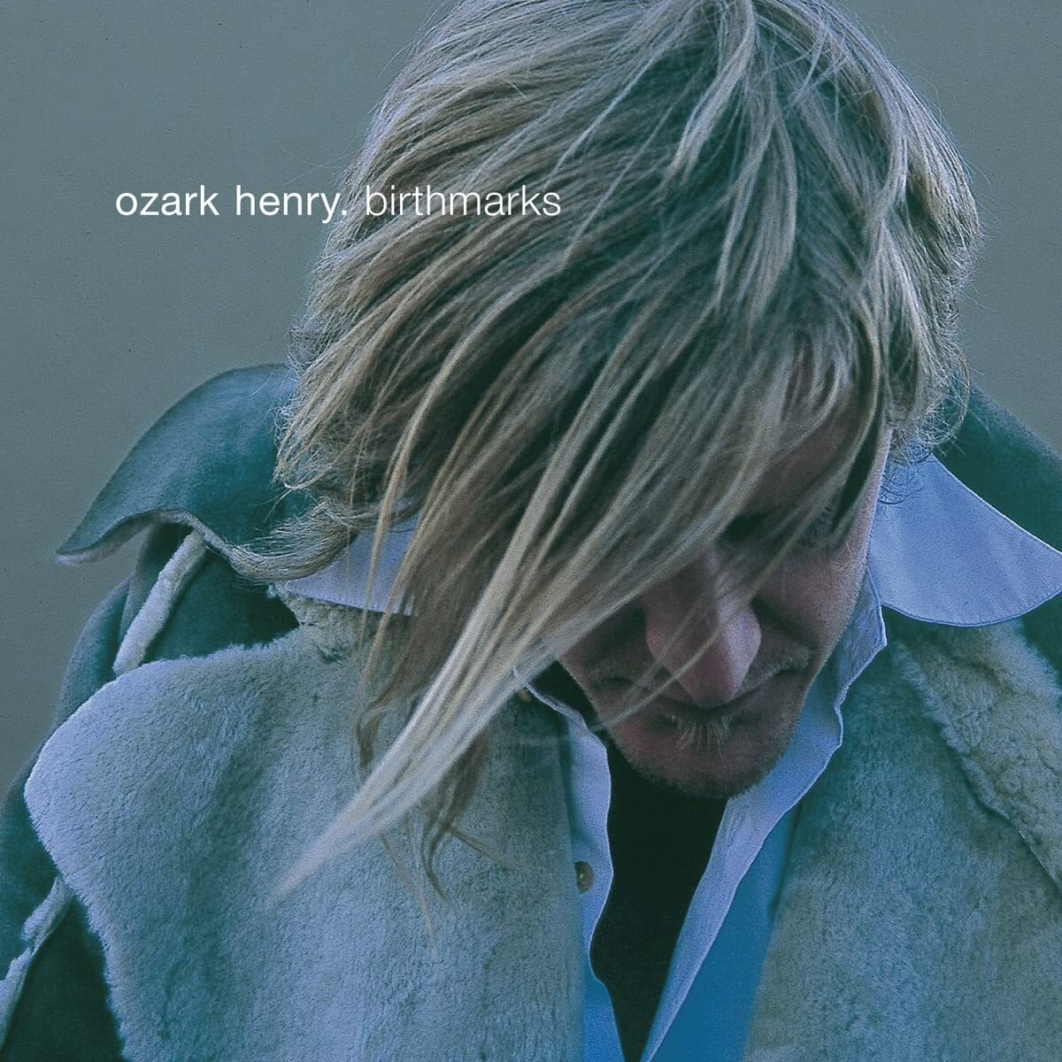 Ozark Henry Birthmarks (Vinyl LP)