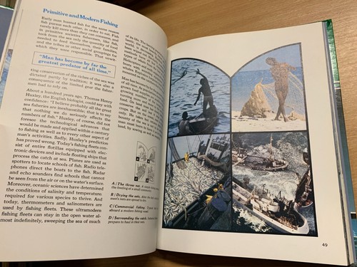 1975 "THE OCEAN WORLD OF JACQUES COUSTEAU OASIS IN SPACE" HARDBACK BOOK (P4) - Picture 10 of 14