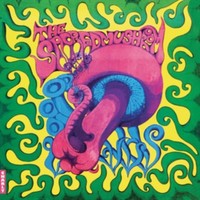 Sacred Mushroom - Vinyl Record - G3Z