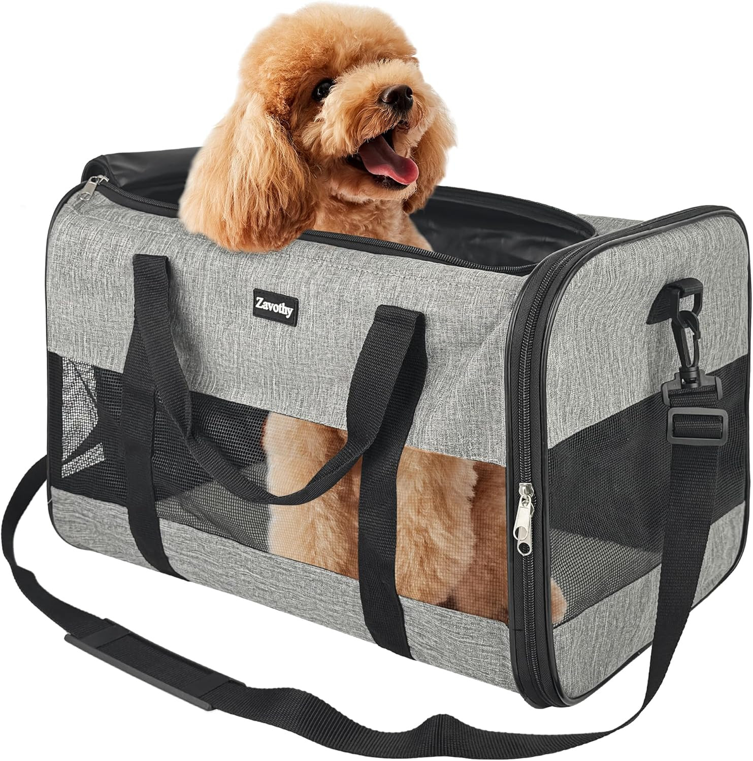 Borsa Trasporto Pet Elegante e Pieghevole: Traspirante e Sicura