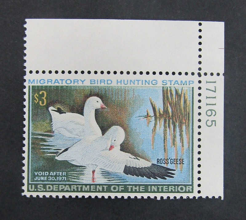 nystamps US Duck Stamp # RW37 Mint OG NH P #         L10x2672