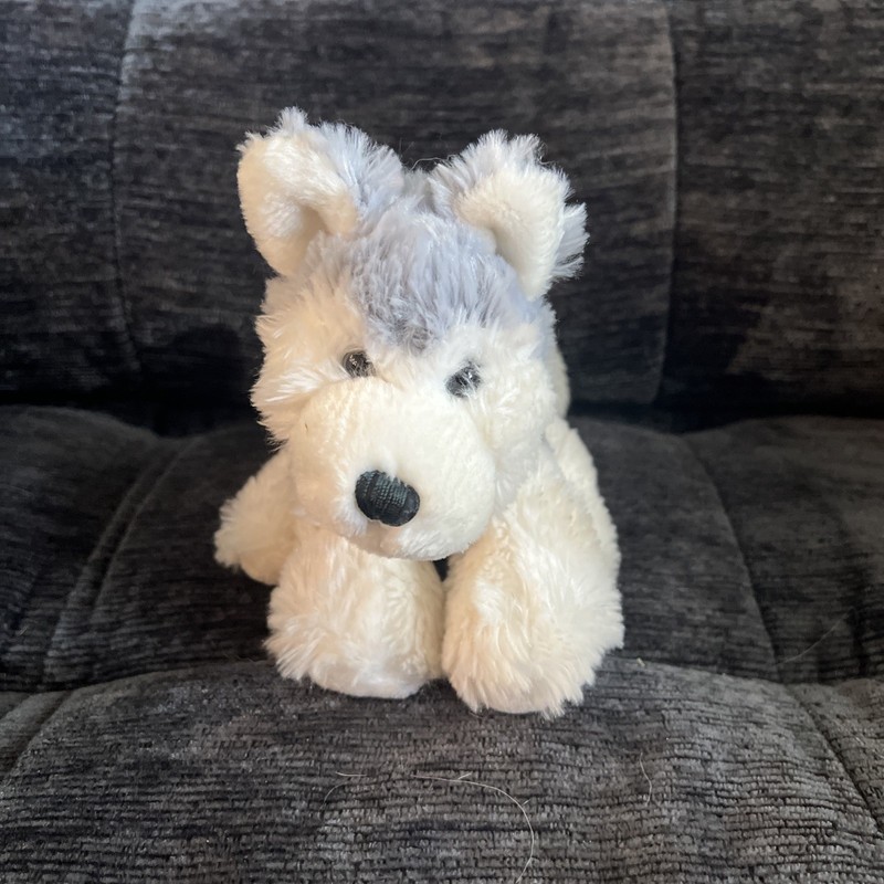 Retired Ganz Webkinz Husky Without Code