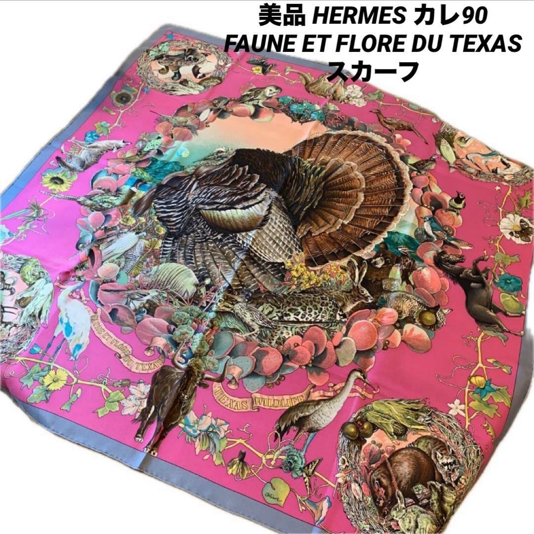 HERMES Carre 90 Faune Et Flore Du Texas Silk Scarf | eBay