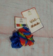 Set of Rainbow Scrunchie  Bobbi Pins from Love Wins Collection NWT 