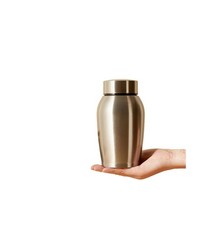 Small Memorials Cremation Urns for Dogs Cats Ashes Stainless Steel Silver Pet...