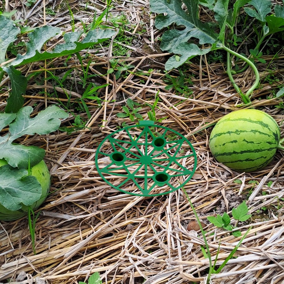 Planter Rack Garden Durable Melon Cradle Plant Support Green PP Watermelon Rack for Garden ...