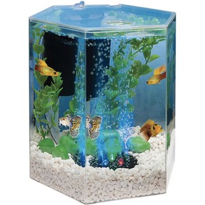 octagon fish tank