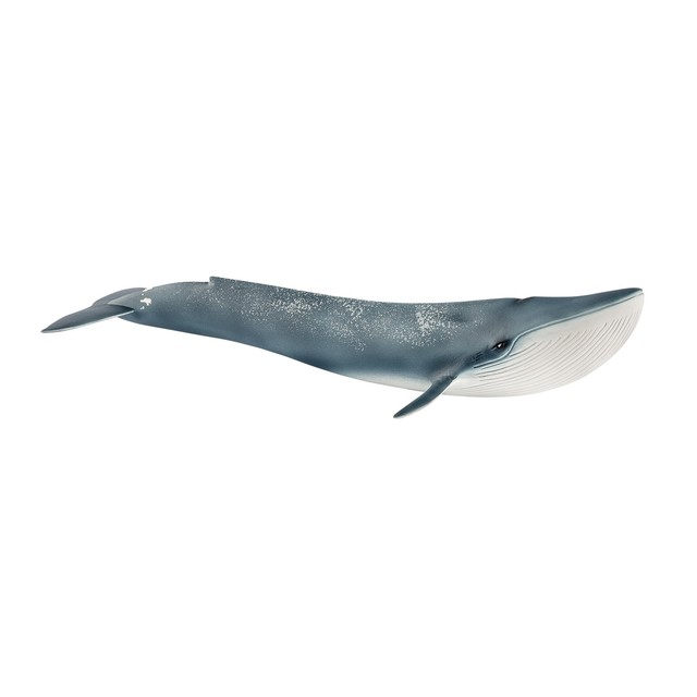 blue whale figure