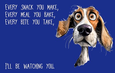 EVERY SNACK MEAL BITE YOU TAKE *2X3 FRIDGE MAGNET* ILL BE WATCHING YOU DOG QUOTE
