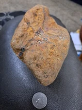 ❤️ 😃 PETRIFIED FOSSIL WOOD RED AGATIZED VERY COOL COLORADO  ❤️❤️