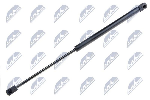 NTY Gasfeder, Koffer-/Laderaum AE-CT-013 FüR CitroËN-image
