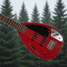 4 String Rosewood Fretboard Electric Bass Guitar Red Semi Hollow Body SS Pickup