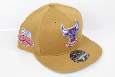 Chicago Bulls Fitted Hat Mitchell & Ness NBA Draft Windy City Sand Sky Blue