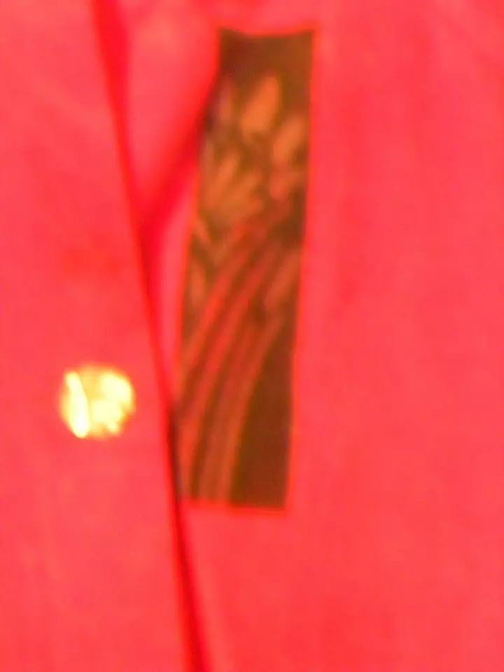 2X Chaqueta de Pez Azul Estampada a Mano Estilo Pana Ad Libs Foto 2 de 4