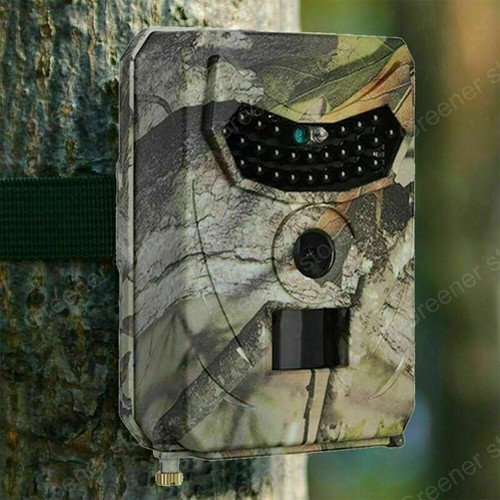 1080P HD Hunting Trail Game Camera Motion Detect Night Vision IP66 Waterproof - Picture 6 of 13