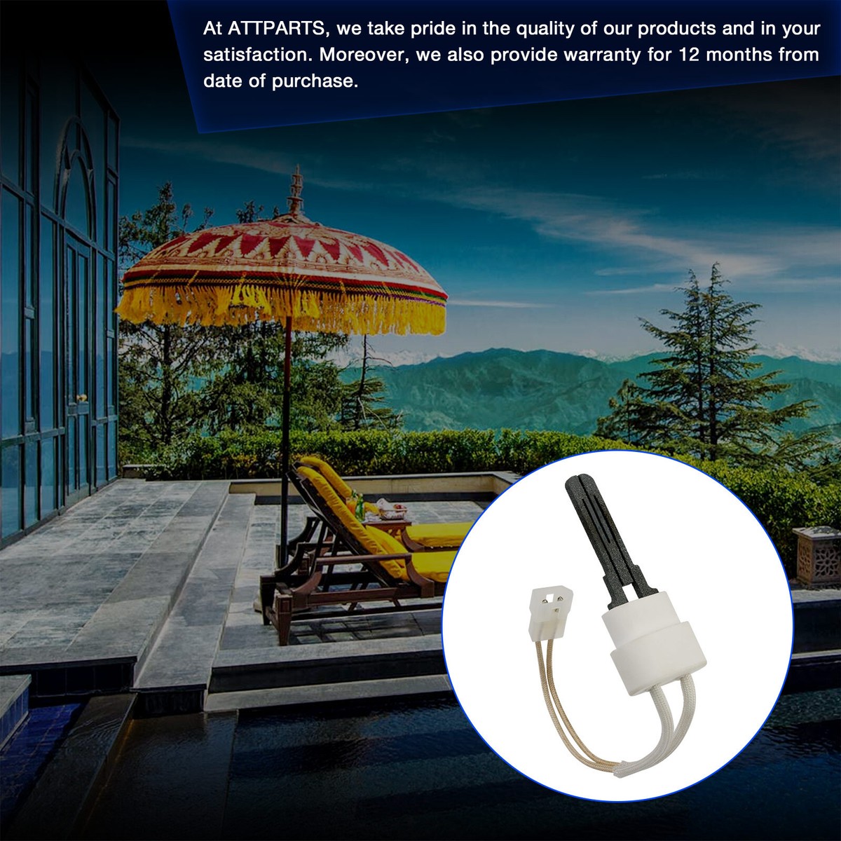 Raypak Pool Heater Parts Pentair Pool Heater Igniter Kit