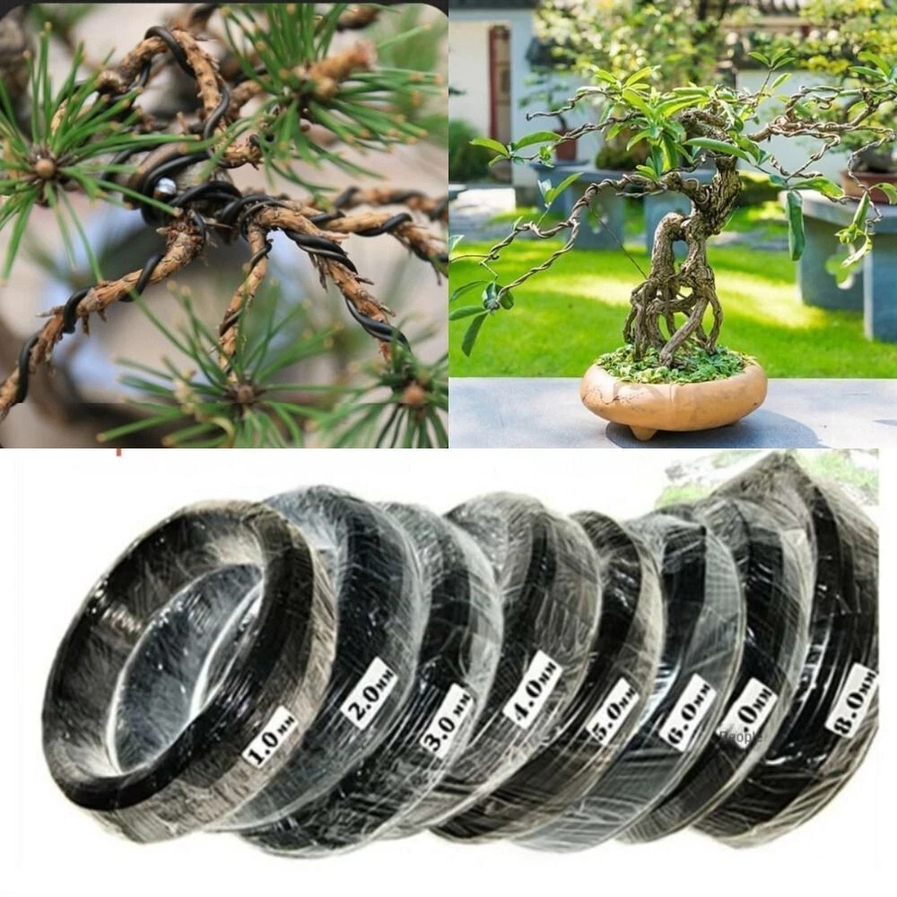 Bonsai-Bonsaidraht online kaufen | eBay.de