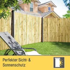 bambus mit rasendünger düngen Bambusdünger - Mineralischer NPK Flüssigdünger mit Stickstoff main image 0