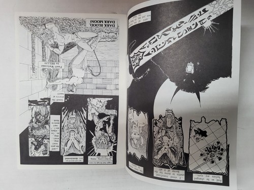 Tales of Zjolner The Sword of Silver The Dark Moon Saga Book 1 & 2 1991 - Picture 12 of 24