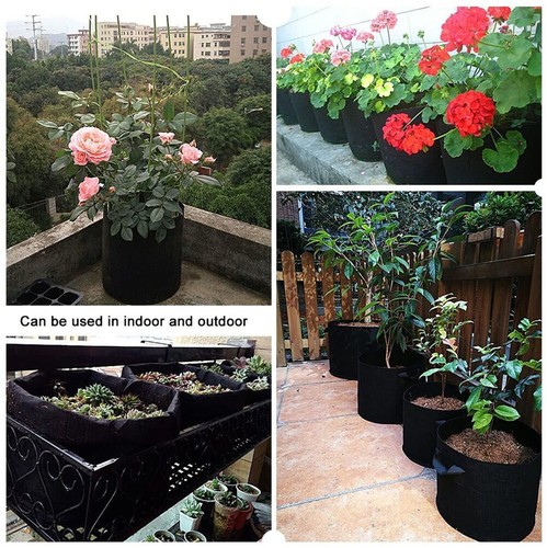 10x Fabric Plant Pot Grow Bag with Handles 3 5 7 10 Gallon Planter Potato Basket - Picture 11 of 12